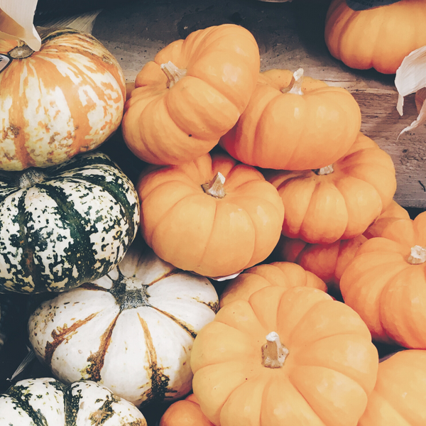 Frightened by Food-waste? Delicious Pumpkin Recipes for Halloween